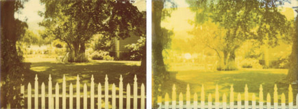 /main/selected_content/WhitePicketFence.jpg /main/selected_content/WhitePicketFence.jpg