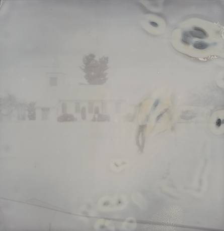 3093.jpg